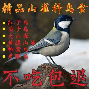 贝子鸟食红子鸟食山雀科鸟粮大山雀黄腹山雀点子颠颏秀眼柳莺鸟