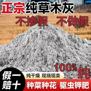 纯草木灰肥料天然有机钾肥农家肥杀虫消毒底肥稻壳炭柴火灰