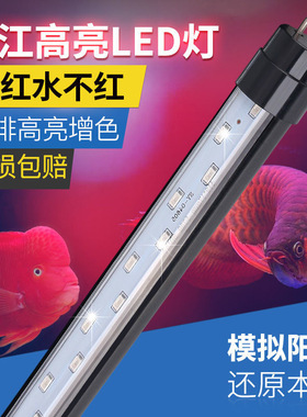 闽江森森LED鱼缸灯节能防水led灯具T8灯管观赏鱼增艳灯增色红鱼
