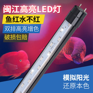 闽江森森LED鱼缸灯节能防水led灯具T8灯管观赏鱼增艳灯增色红鱼