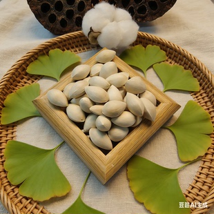【白色银杏】 白色银杏 豆荚娃娃果壳种子风铃DIY天然装饰材料