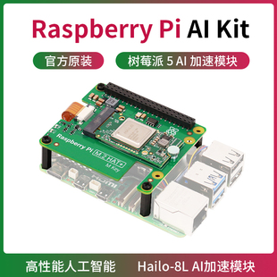 hailo8模块 raspberry HAT 人工智能套件 树莓派M.2 Kit