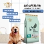 Thức ăn cho chó Huangnuo 20kg kg gói lớn hạt kinh tế Labrador chăn nuôi đa phương và chăn nuôi chung chó con thức ăn cho chó 40 - Chó Staples do an cho cho