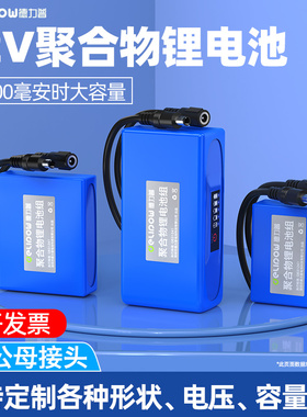德力普聚合物12v锂电池大容量移动电源电瓶音响led灯通24伏电池组