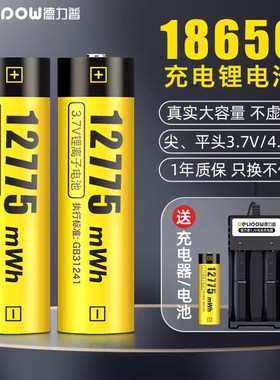 德力普尖头18650锂电池小风扇