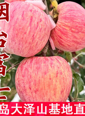 山东嫁接红富士苹果树苗当年结果