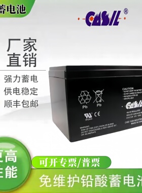 CASIL志源蓄电池CA1212/1222 12V1.2AH2.2AH三星阿兰德防火卷帘门
