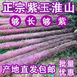 【淘果夫】正宗紫玉淮山广西特产新鲜紫山药脚板薯农家酒店食材
