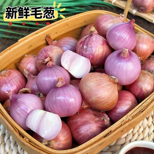 东北毛葱小葱头佳木斯烧烤店红葱头拌酱新鲜蔬菜特辣毛葱鬼子葱