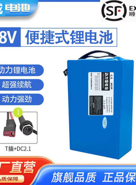 电动车48v锂电池48v36v24v锂电池20ah12ah加装折叠代驾车电瓶