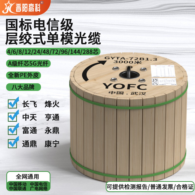 国标级12芯光缆室外单模四芯长飞光纤gyta53/gyts铠装光缆线4/6/8/24/48/72/96/144/288芯自承式架空直埋地埋