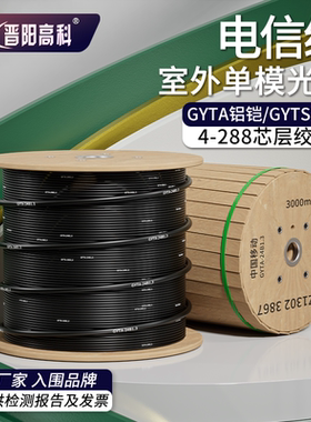 长飞中天国标4/6/8/12/24/48/72/96/144/288芯光缆gyts/a室外单模四芯光纤GYTA/S铠装光缆线自承式架空直地埋