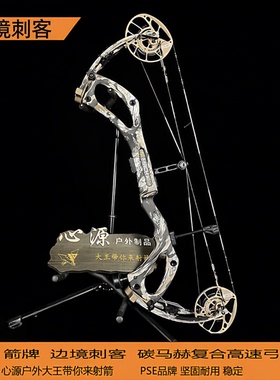 PSE碳马赫FDS 边境刺客复合弓箭高速33户外Carbon Mach 射箭2026