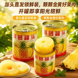 新鲜菠萝圆片罐头567g商用批发新鲜烘焙甜品披萨汉堡一整箱装