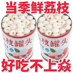 果家人糖水荔枝罐头果肉新鲜水果罐头食品整箱零食奶茶店商用原料