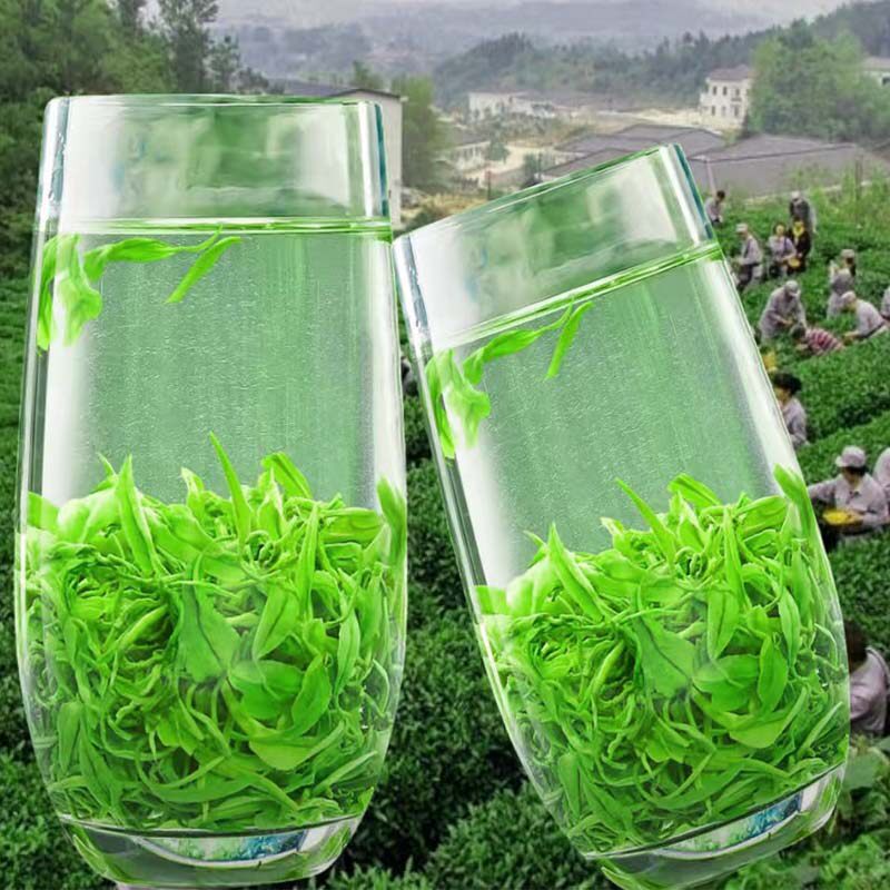 2026新茶英山毛尖绿茶湖北特产手工云雾高山茗茶明前春茶袋装500g