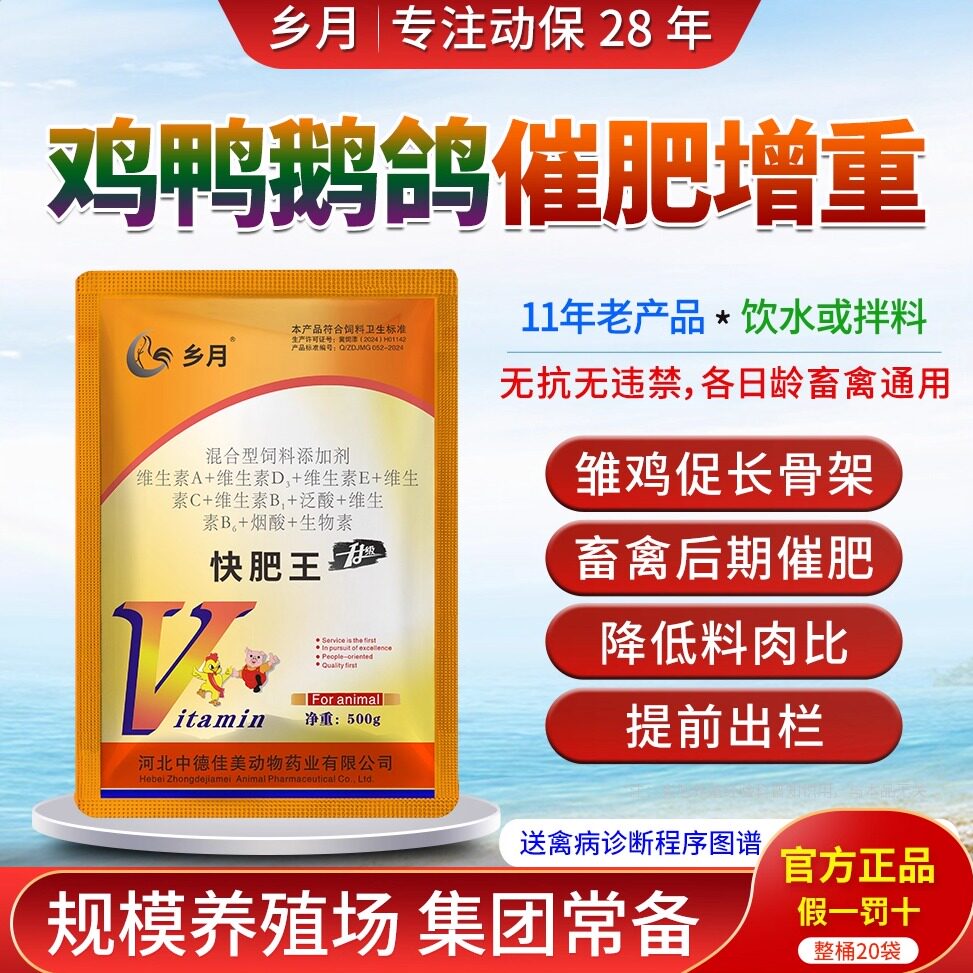 禽用肉鸡鸭鹅催肥增重增肥素增长兽用肥宝疯长王小鸡促生长快肥王