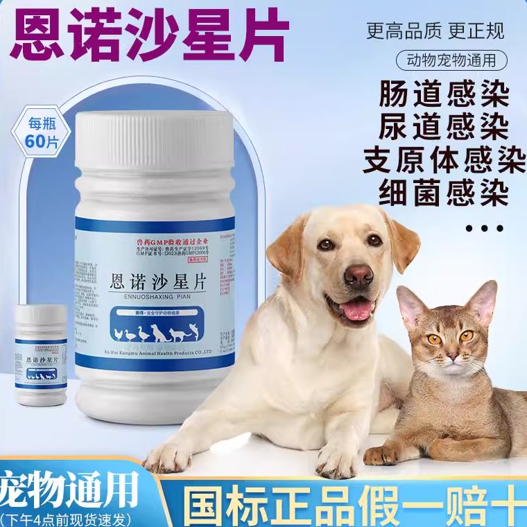 宠物猫咪狗狗用恩诺沙星片尿路感染尿道炎流脓尿血利尿通子宫蓄脓