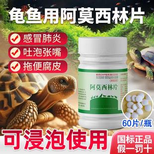 阿莫西林片乌龟鱼水族专用药肺炎肠炎腐皮感冒厌食白眼病抗菌消炎