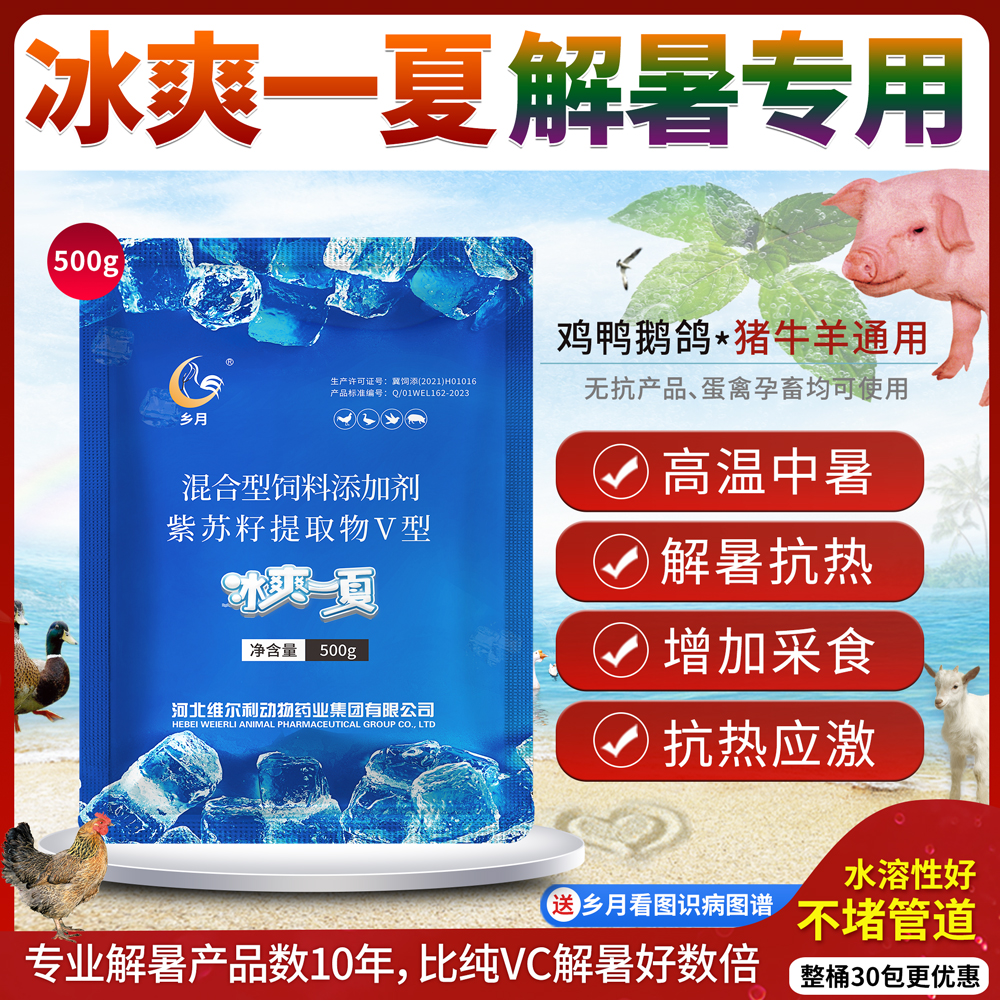 畜禽高级解暑药维生素C薄荷冰片