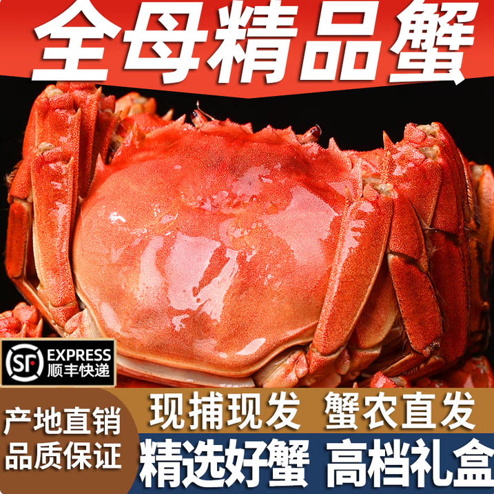 大闸蟹4.5两母10只现货全母大闸蟹鲜活螃蟹河蟹新鲜顺丰京东空运