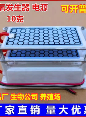 10g臭氧发生器杀菌空气净化器