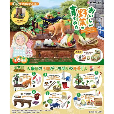 RE-MENT蔬菜种植农场盲盒