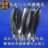 Борьба с курицей сражением куриные куриные крылышки борьба с курицей борьба с куриным крылом