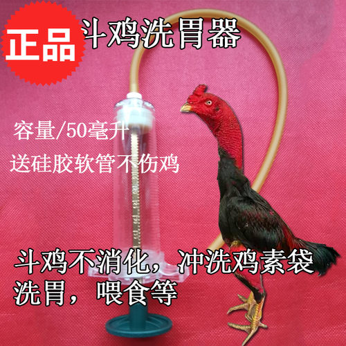 斗鸡洗胃器 斗鸡洗胃用品斗鸡斗鸟喂食
