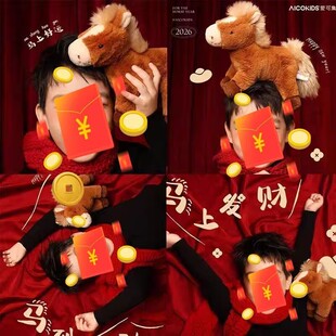 2026新年小马公仔马儿童室内马年拍照道具手持摆件中国风鲤鱼福