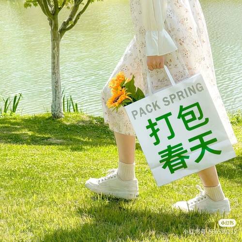 仿真水果手提袋打包春天购物袋