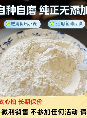甘肃高筋面粉新国标无添加农家自种全麦小麦石磨面粉馒头家用面粉