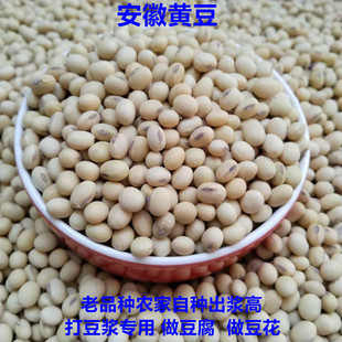 黄豆老品种农家自种 打豆浆专用做豆腐豆花10斤装
