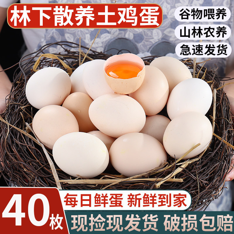 散养新鲜土鸡蛋柴鸡蛋领券下单