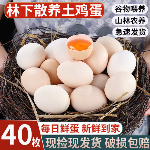 散养新鲜土鸡蛋柴鸡蛋领券下单