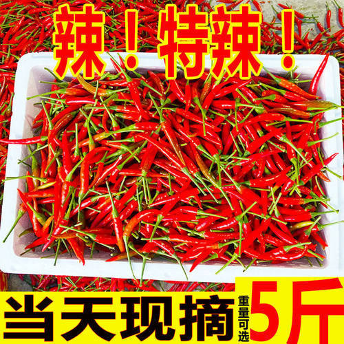 新鲜红辣椒小米辣现摘
