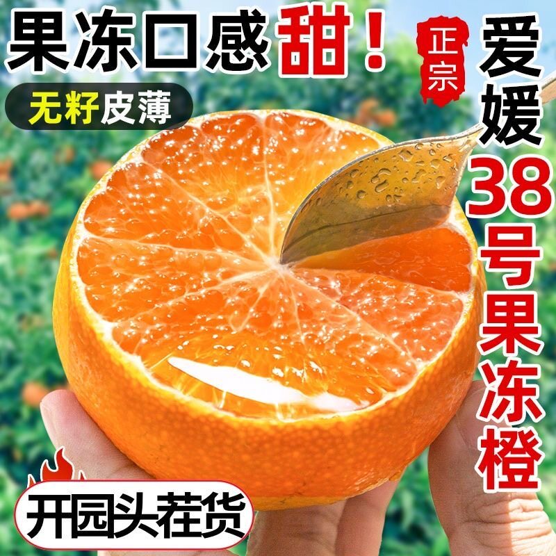 爱媛38号果冻橙新鲜橙子9斤当季水果正宗四川甜柑橘蜜桔大果整箱