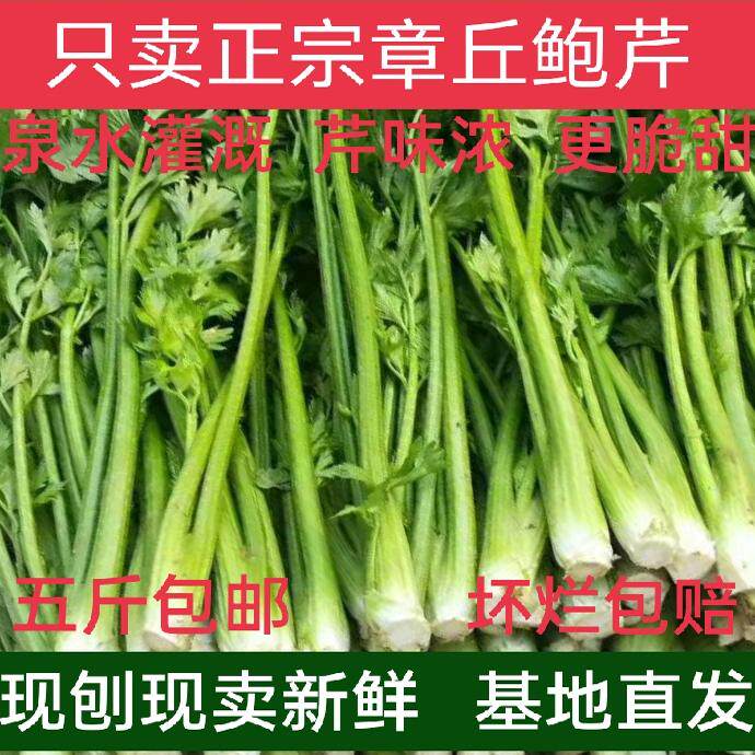 鲍芹正宗章丘产地直发净芹脆微甜新鲜5斤礼盒供酒店实芯蔬菜顺丰