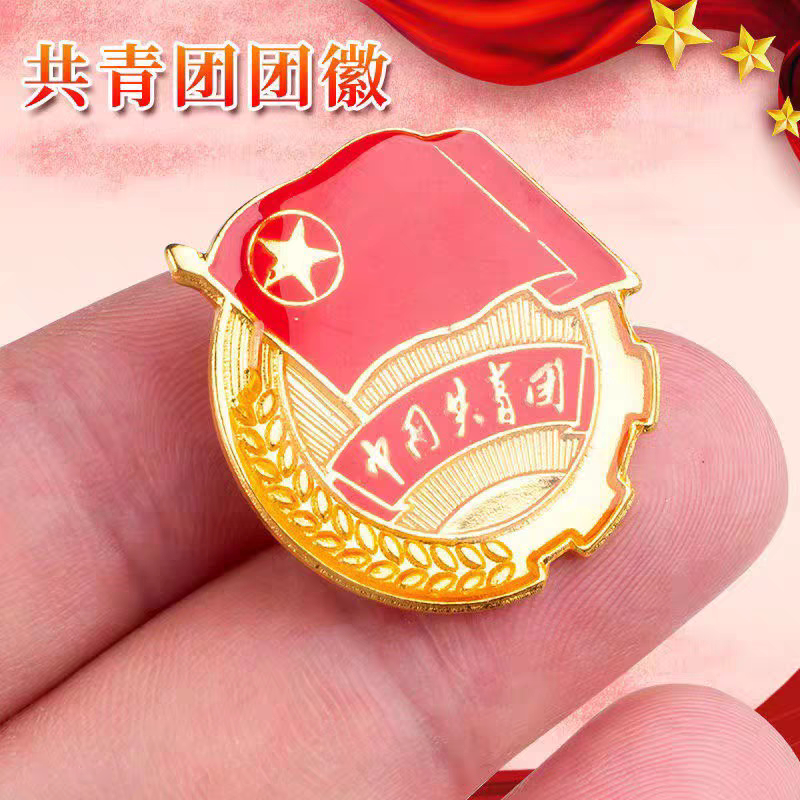 长沙团员徽章共青团徽别针式学生青少年团员胸章佩戴新版磁扣团徽