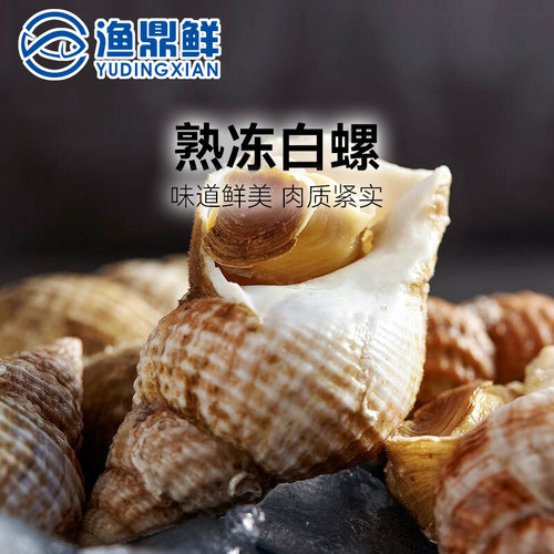新鲜熟冻爱尔兰500g翡翠无沙白螺