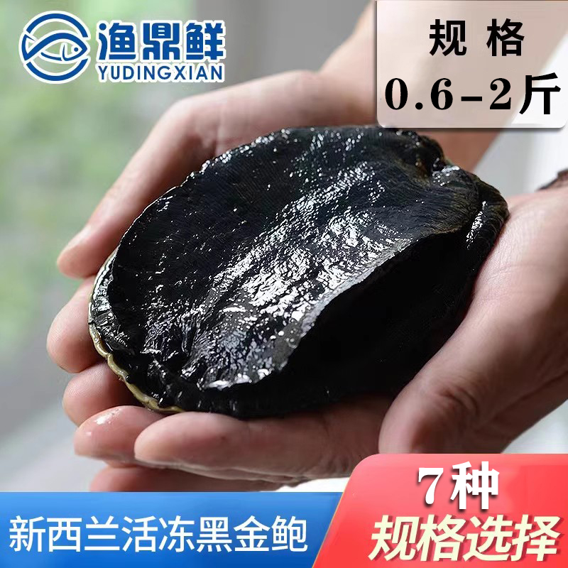 新西兰活冻黑金鲍多种规格选择