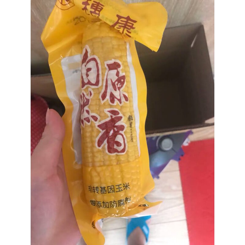 穗康黄糯玉米糯玉米棒甜玉米