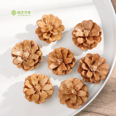 【已剪好松果花】天然植物干果松果松塔花相框画标本diy拍摄道具