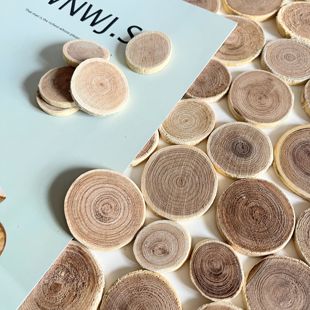 【小木片】天然树木切片 手工DIY素材辅材 幼儿园幼教自然环创用