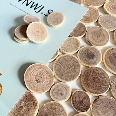 绿艺芳植物素材手工DIY幼儿环创