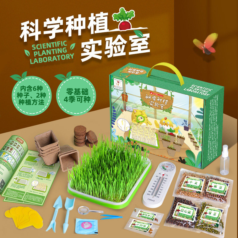儿童种植观察种子diy科学实验套装盆栽种植豆芽菜育苗阳台绿植种蔬