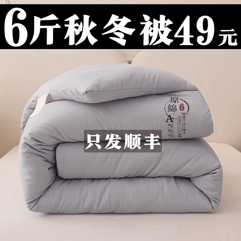 顺丰包邮大豆纤维被子加厚保暖冬被全棉单双人学生宿舍春秋季被芯
