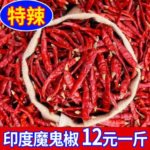 500g特辣干辣椒湖南特产农家自晒香辣干红辣椒干货印度辣椒变态辣