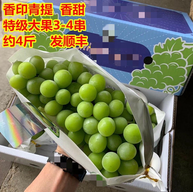 特级日本品种晴王葡萄阳光香印青提玫瑰提子新鲜一箱约4斤3串精品