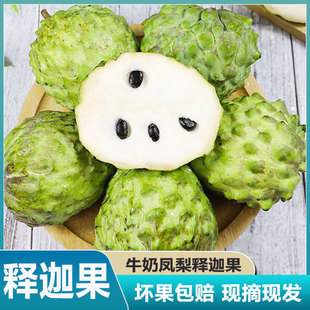 牛奶凤梨释迦10斤新鲜水果佛头牟尼果热带番荔枝孕妇当季整箱包邮